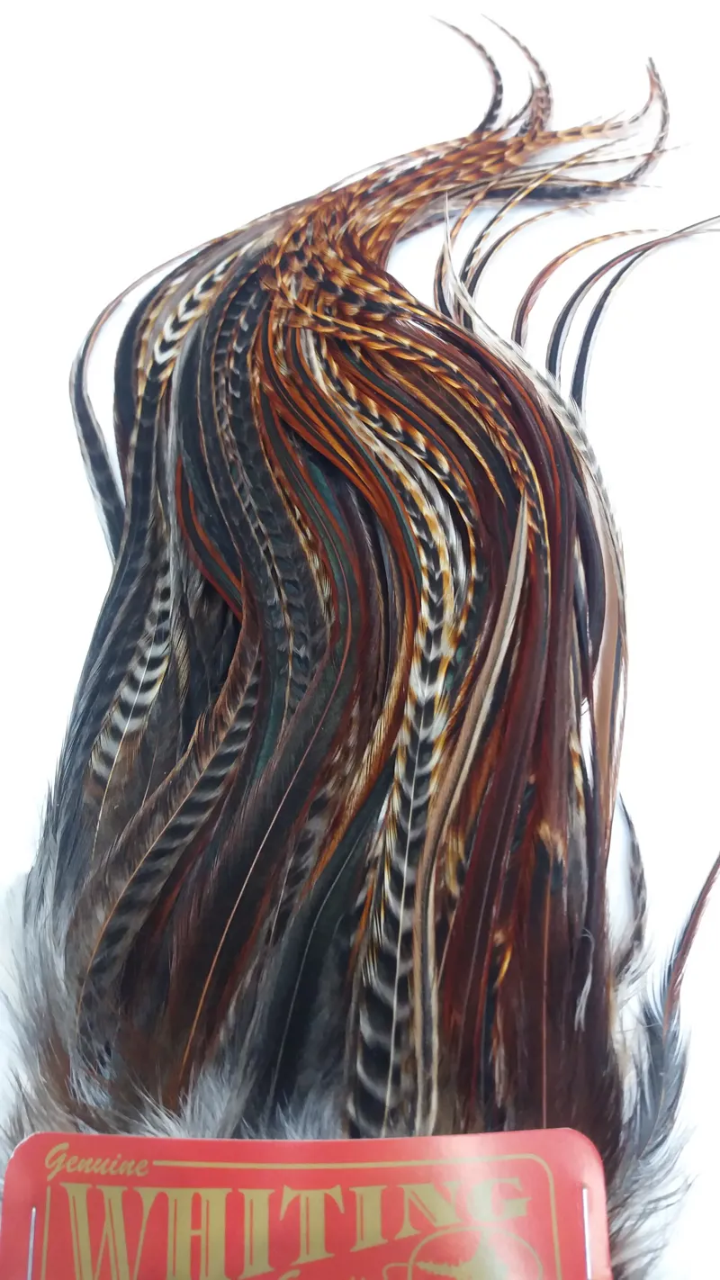 Whiting Bugger Pack in Barred Dark Ginger-2